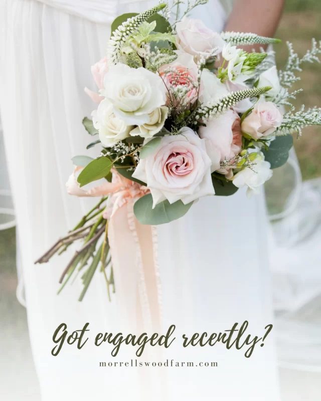 💍 For couples dreaming of a truly memorable wedding in 2025 and beyond, Morrells Wood Farm invites you to an exclusive open day event to discover why our venue is considered Shropshire's most highly sought after wedding destination.  Event Details
🗓 Date: Sunday 1 June
🕰 Time: 12:00 noon - 4:00 pm
📍 Location: Morrells Wood Farm, Shropshire  Combing rustic charm with modern amenities, Morrells Wood Farm offers a picturesque setting that is both elegant and welcoming. From intimate gatherings to grand celebrations, our versatile spaces can be tailored to suit your vision.  👉🏼 Join us next Sunday to experience firsthand the enchanting ambiance of Morrells Wood Farm. We look forward to helping you create a wedding day that you and your guests will cherish forever.