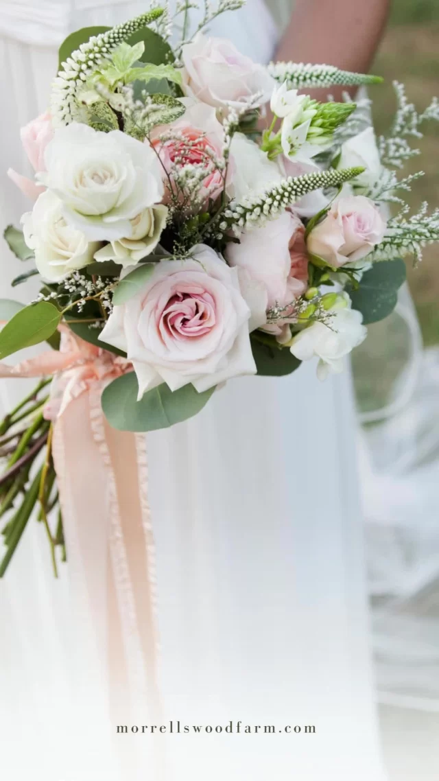 💍 For couples dreaming of a truly memorable wedding in 2025 and beyond, Morrells Wood Farm invites you to an exclusive open day event to discover why our venue is considered Shropshire's most highly sought after wedding destination.  Event Details
🗓 Date: Sunday 1 June
🕰 Time: 12:00 noon - 4:00 pm
📍 Location: Morrells Wood Farm, Shropshire  Combing rustic charm with modern amenities, Morrells Wood Farm offers a picturesque setting that is both elegant and welcoming. From intimate gatherings to grand celebrations, our versatile spaces can be tailored to suit your vision.  👉🏼 Join us next Sunday to experience firsthand the enchanting ambiance of Morrells Wood Farm. We look forward to helping you create a wedding day that you and your guests will cherish forever.