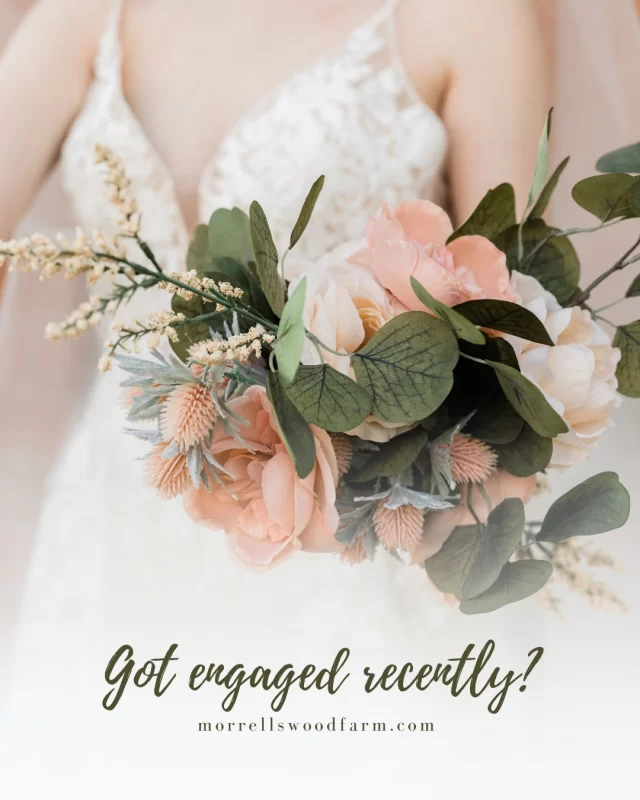 💍 For couples dreaming of a truly memorable wedding in 2025 and beyond, Morrells Wood Farm invites you to an exclusive open day event to discover why our venue is considered Shropshire's most highly sought after wedding destination.  Event Details
🗓 Date: Sunday 1 June
🕰 Time: 12:00 noon - 4:00 pm
📍 Location: Morrells Wood Farm, Shropshire  Combing rustic charm with modern amenities, Morrells Wood Farm offers a picturesque setting that is both elegant and welcoming. From intimate gatherings to grand celebrations, our versatile spaces can be tailored to suit your vision.  👉🏼 Join us on Sunday 1 June to experience first hand the enchanting ambiance of Morrells Wood Farm, and let us help you create a wedding day that you and your guests will cherish forever...