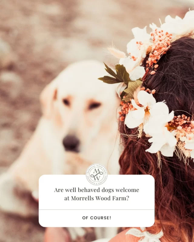 🐶 Looking to celebrate your big day with your furry friend?  Are you a dog lover planning to include your cherished canine companion in your wedding celebrations?💍 If so, your search for the perfect venue ends here!  Whether it's an engagement party or the wedding day itself, having your dog 🐶 by your side can make the occasion even more memorable, and Morrells Wood Farm, located in the heart of Shropshire, offers the ideal setting for such a celebration.  Morrells Wood Farm is not just another wedding venue; it's a slice of natural beauty that welcomes both you and your four-legged friends. We understand the significance of including your furry family members in life’s most important moments and so with our pet-friendly policies, you can ensure your dog is part of the celebration without any hassle.  Nestled amidst picturesque landscapes🌳, Morrells Wood Farm provides a breathtaking backdrop for your wedding photos. Imagine tying the knot surrounded by lush greenery and rolling hills, with your beloved pet at your feet.  The venue exudes a rustic charm that complements any wedding theme, with spacious converted barns and beautiful gardens to offer a romantic setting that feels both intimate and grand.  Morrells Wood Farm offers customisable wedding packages tailored to meet your specific needs. Whether you’re planning a small gathering or a grand affair, our team is dedicated in helping you to create the wedding of your dreams.  Including your dog in your wedding day at Morrells Wood Farm can add a unique and personal touch to the celebration. From walking down the aisle together to capturing adorable moments on camera 📷, your furry friend will be part of memories that last a lifetime.  Embrace the joy of having your treasured companion with you on your special day and let Morrells Wood Farm help make your wedding truly unforgettable.