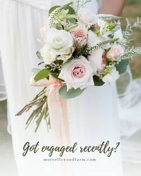 💍 For couples dreaming of a truly memorable wedding in 2025 and beyond, Morrells Wood Farm invites you to an exclusive open day event to discover why our venue is considered Shropshire's most highly sought after wedding destination.  Event Details
🗓 Date: Sunday 27 July
🕰 Time: 12:00 noon - 4:00 pm
📍 Location: Morrells Wood Farm, Shropshire  Combing rustic charm with modern amenities, Morrells Wood Farm offers a picturesque setting that is both elegant and welcoming. From intimate gatherings to grand celebrations, our versatile spaces can be tailored to suit your vision.  👉🏼 Join us next Sunday to experience firsthand the enchanting ambiance of Morrells Wood Farm. We look forward to helping you create a wedding day that you and your guests will cherish forever.