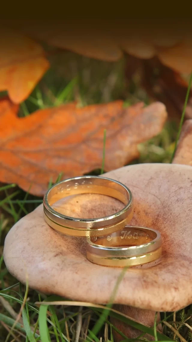 💍 For couples dreaming of a truly memorable wedding in 2025 and beyond, Morrells Wood Farm invites you to an exclusive open day event to discover why our venue is considered Shropshire's most highly sought after wedding destination.  Event Details
🗓 Date: Sunday 21 September
🕰 Time: 12:00 noon - 4:00 pm
📍 Location: Morrells Wood Farm, Shropshire  Combing rustic charm with modern amenities, Morrells Wood Farm offers a picturesque setting that is both elegant and welcoming. From intimate gatherings to grand celebrations, our versatile spaces can be tailored to suit your vision.  👉🏼 Join us next Sunday to experience firsthand the enchanting ambiance of Morrells Wood Farm. We look forward to helping you create a wedding day that you and your guests will cherish forever.  🔗 https://morrellswoodfarm.co.uk/weddings-and-civil-ceremonies/